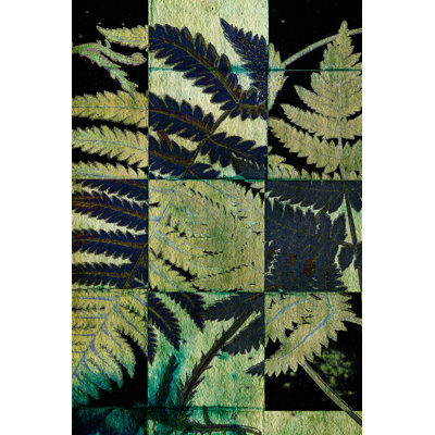 Midnight Ferns I - Wrapped Canvas Print