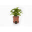 Weather Resistant Planter Feet