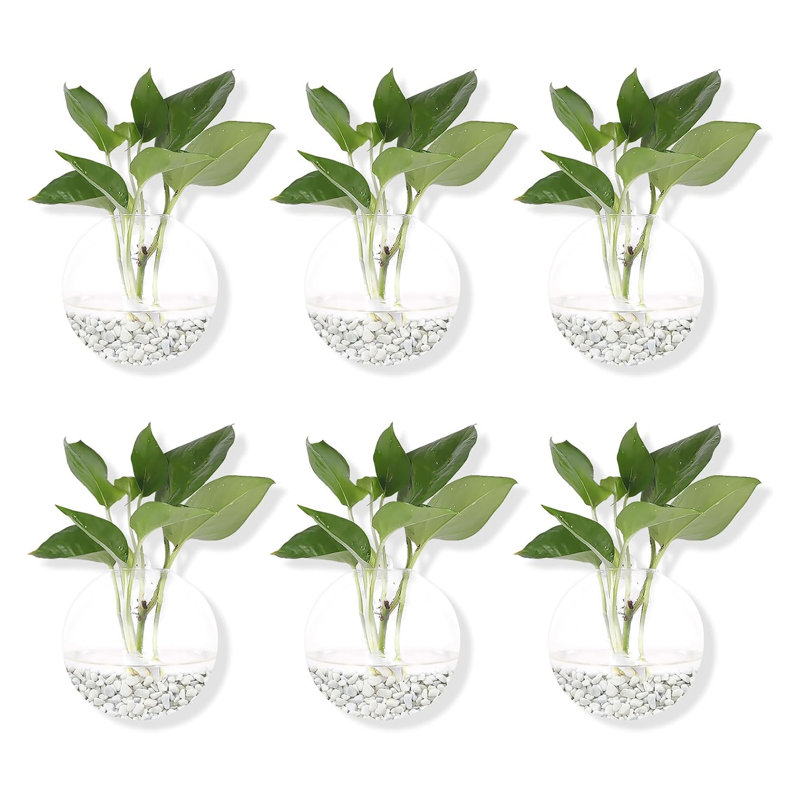 Paquet de 6 pots à fleurs suspendus en verre