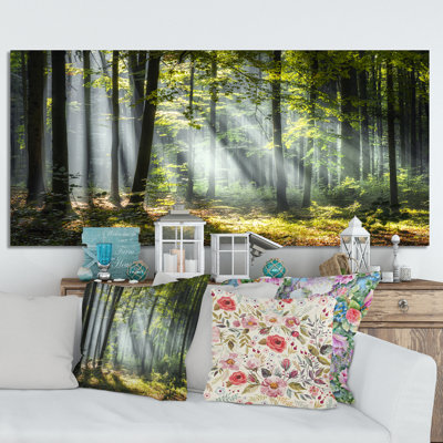 Sunny Morning Magic Forest III - Photograph on Canvas