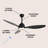 Clarra 52'' Ceiling Fan with LED Lights-1890635366