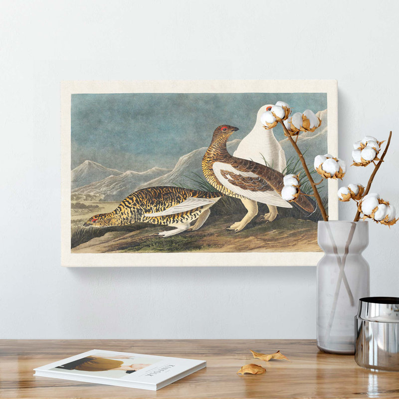 Roock Grouse by John Audubon - Wrapped Canvas, 50cm H x 76cm W x 3cm D