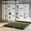 Dog Toilet