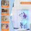 Glass 38 cm W Display Cabinet-1866153053