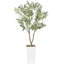 150cm Plant