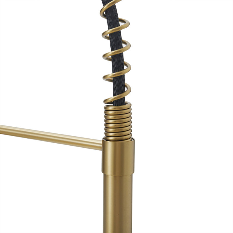 Belfry Kitchen Nolhan Pull Down Kitchen Faucet, Gold