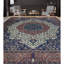 Aryana Wool Oriental Area Rug