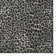Tapis gris à imprimé animalier Abouaber