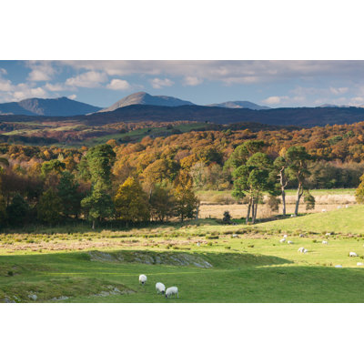 Weatherlam In Autumn by Award - Wrapped Canvas Print