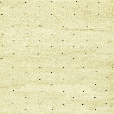 Abstract Indoor Rug