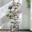 Anesca Plant Stand