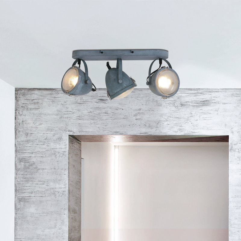 Roark Ceiling Spotlight