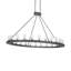 24 - Light Chandelier