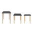 Ensemble de 3 tables d'appoint