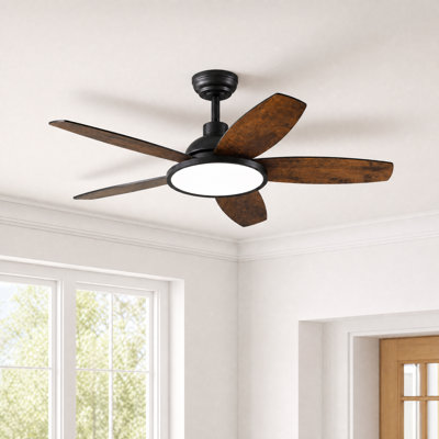 42" 5 - Blade Downrod Mount Small Room Ceiling Fan with LED Light and Remote
