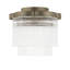 Clear Glass Flush Mount