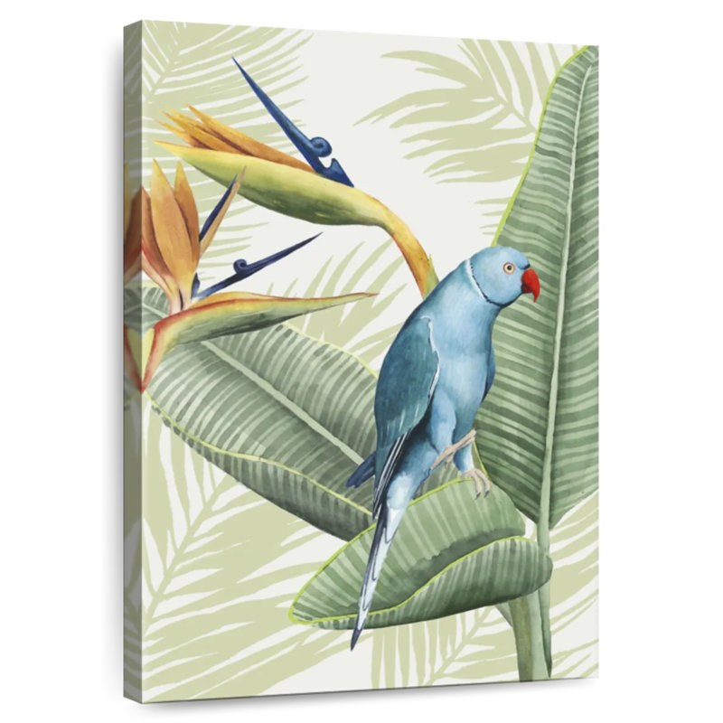 Brampt Avian Paradise III, H 45 po x l 30 po