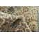 Mosely Oriental Indoor Rug