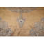 Tapis brun doré de style victorien traditionnel 8 x 11