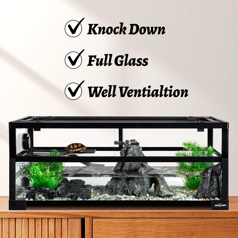 Reptile Starter Kit