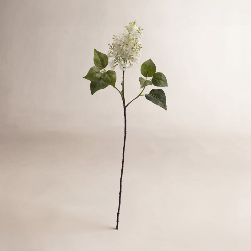 Tige de lilas Toscani, Blanc