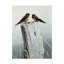 «Barn Swallows On Fence Post», reproduction d'art graphique sur toile tendue Etelca-27643277