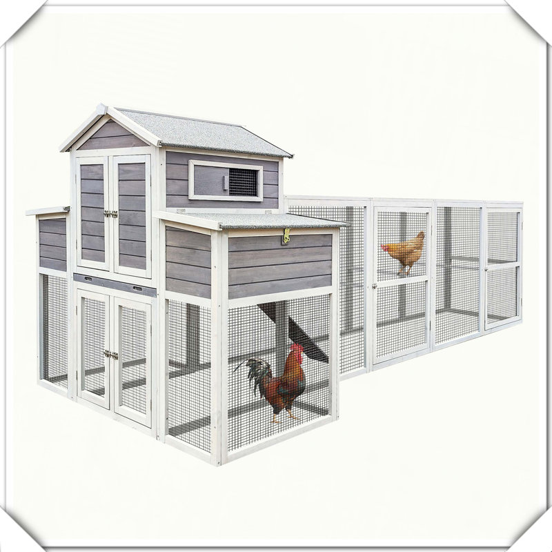 Poulailler en bois, Gris / Blanc