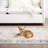 Benner Killough Moroccan Machine Washable Area Rug in Light Blue/White-184856146