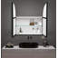 Rinny W H Framed Medicine Cabinet Mirror 1 Adjustable-1585039458