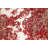 One-of-a-Kind 4'1" X 6'5" New Age Area Rug in