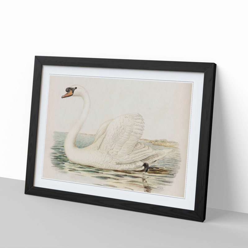 White Swan by Von Wright - Framed Print, 36cm H x 48cm W x 2cm D, Black Framed