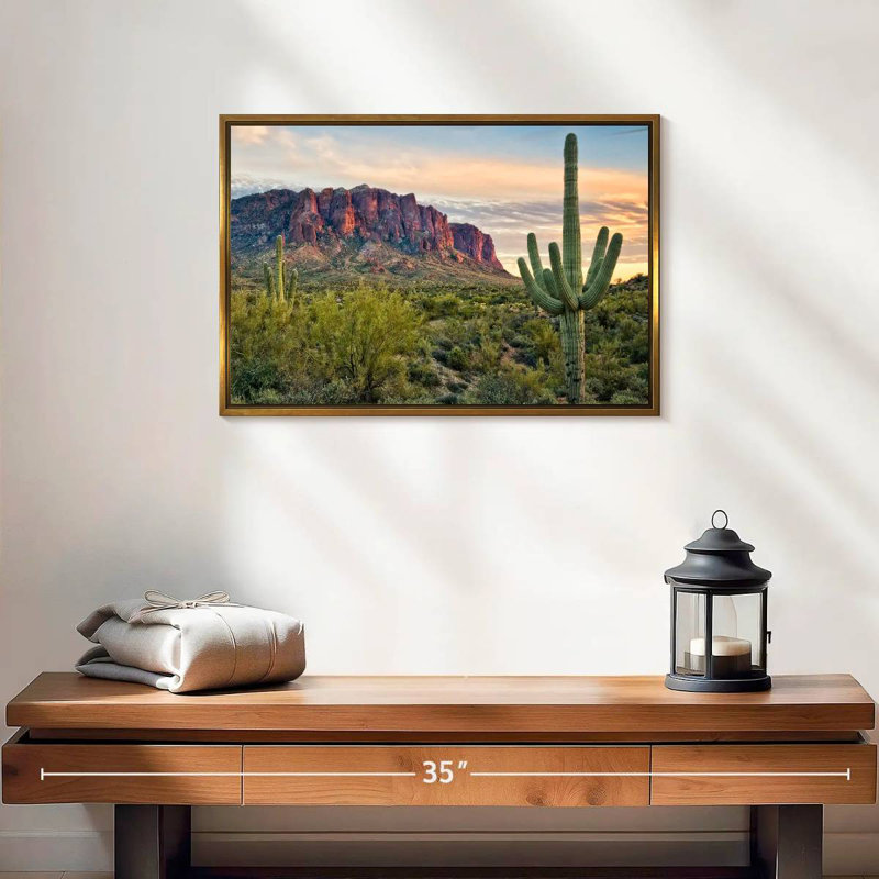 Cactus View II, Cadre flottant doré, 19 po x 13 po