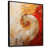 Black Floater Framed Canvas
