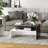 Modern Coffee Table,  2-tier Rectangular Center Table with Storage