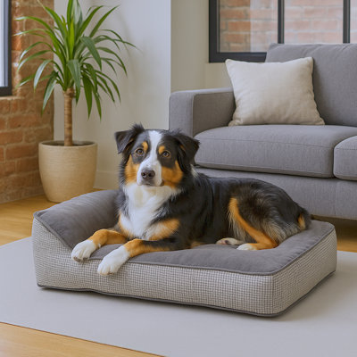 Lit pour chien Buddy