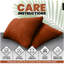  Teddy L75 x W50cm Medium Support Pillow-1387457770