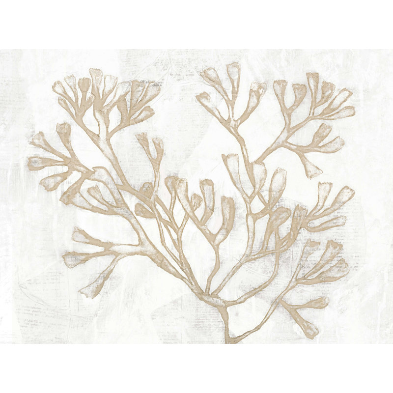 Blanc et corail crème - Impression sur toile tendue, H 12 po x l 16 po