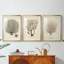 Esper Sea Fans I - reproduction sur mesure encadrée de qualité supérieure - 3 pièces-1607683335-1607683333