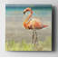 Flamant rose II - reproduction d'art sur papier-29162297-32972403