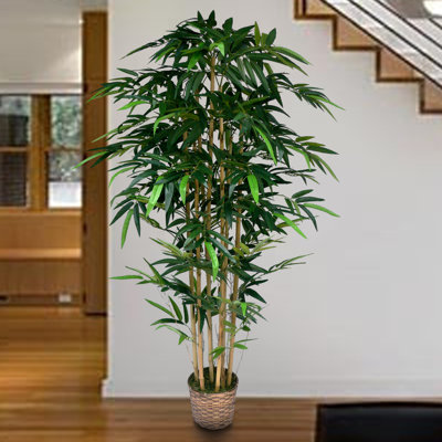 72" Tall High End Realistic Silk Bamboo Tree in Basket