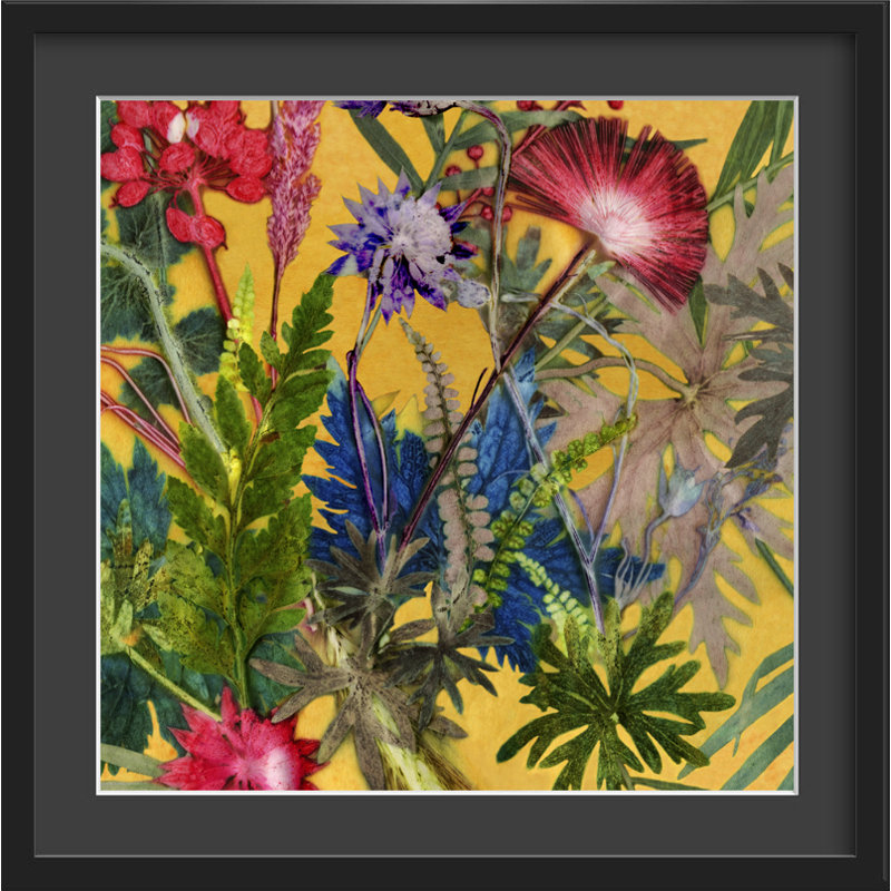 Gillian Arnold - Single Picture Frame Print