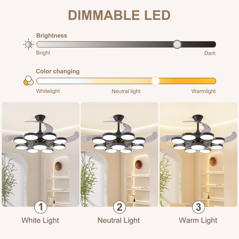Ventilateur de plafond Kaydrian avec lumières DEL, Noir, 42.51"
