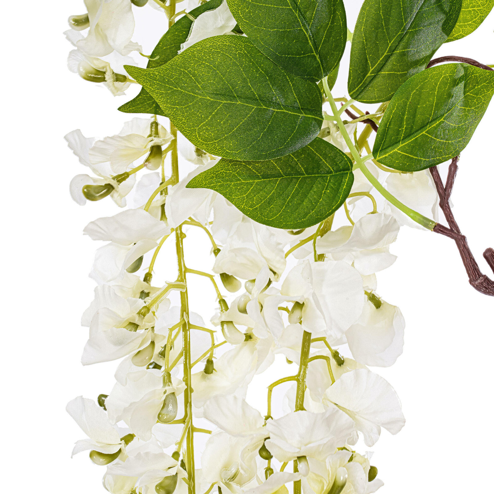 Wisteria Floral Stems, White 