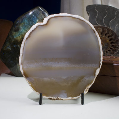 Daffne Crystal