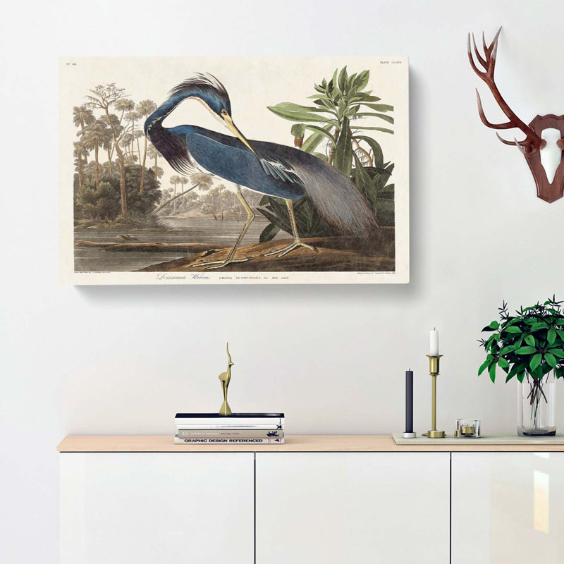 Louisiana Heron - Wrapped Canvas Print, 35cm H x 50cm W x 3cm D