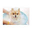 Wall Art on Canvas-1074259799