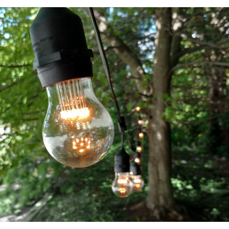 Aimee Outdoor 25 - Bulb 50'' Plug-in String Light
