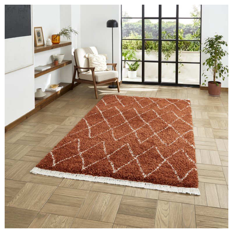 Archuleta area rug Machine Woven Rust, Rectangle 160 x 230cm