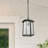 Yanique 1 - Light Black Lantern Pendant