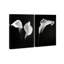 Calla Lily Set Set by Oliver Gal-715087363-715087370